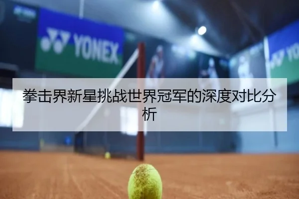 拳击界新星挑战世界冠军的深度对比分析